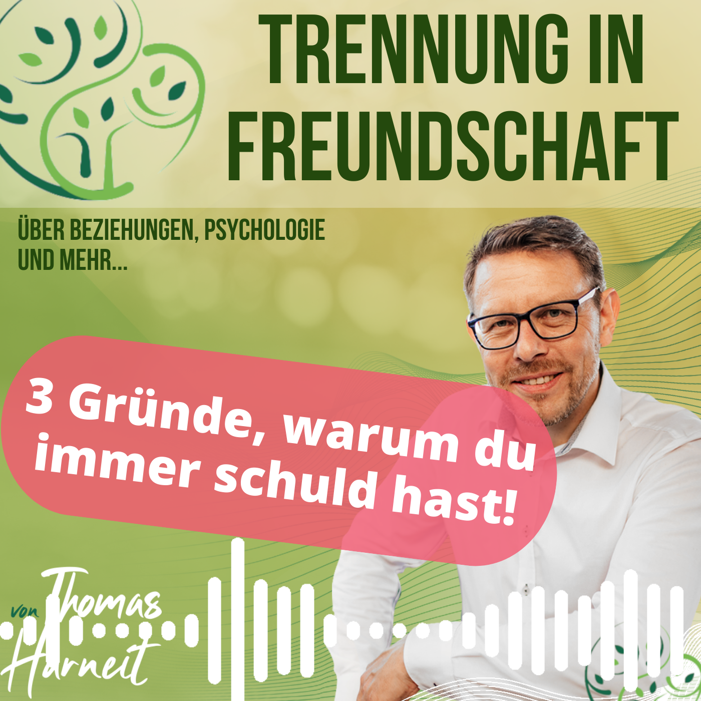 Drei Gründe, warum du immer schuld hast!