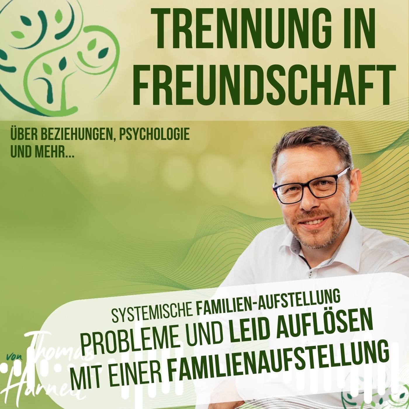 Wie du die Ursachen für dein Ehe-Chaos erkennst - mit einer Familienaufstellung!